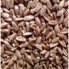 DİNKEL BULGURU- ATATOHUMU